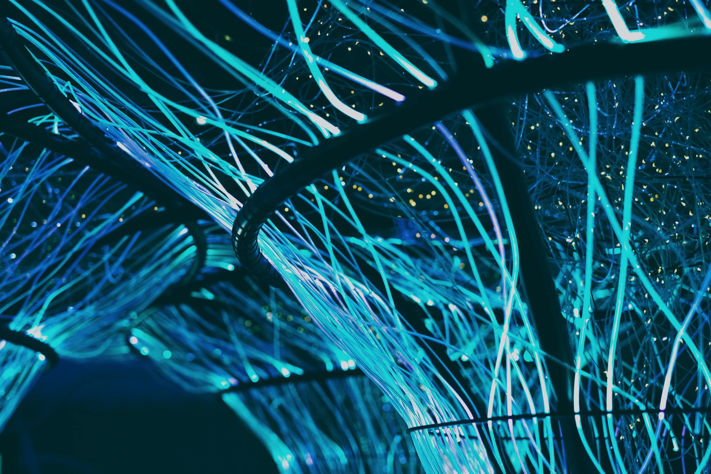 Real close-up of data-network cabling representing connected analytical data sources